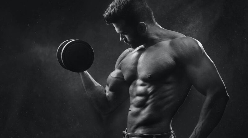 6 days workout plan for muscle gain